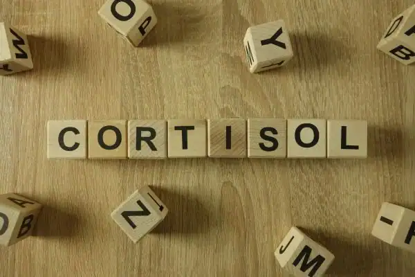 The Hidden Connection: How Stress Shapes Your Fitness and Body Composition 2 Image saying "Cortisol" and how stress Blackheath impacts your wellbeing and bodies shape